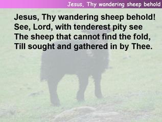Jesus, Thy wandering sheep behold