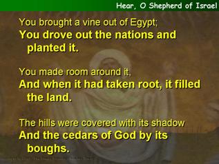 Hear, O Shepherd of Israel (Psalm 80)