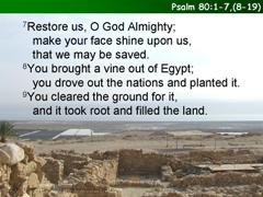 Psalm 80:1-7, (8-19)