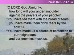 Psalm 80:1-7,17-19