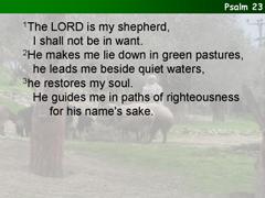 Psalm 85:8-13