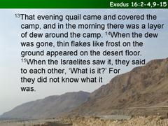 Exodus 16:2-4,9-15