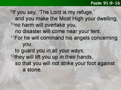 Psalm 91:9-16