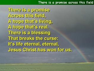 There is a promise across this field