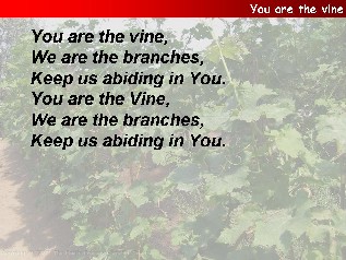 You are the vine