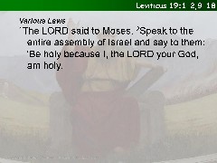 Leviticus 19:1-2,9-18