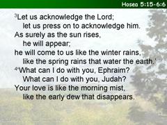 Hosea 5:15-6:6