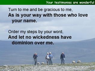 Your testimonies are wonderful (Psalm 119.129-136)