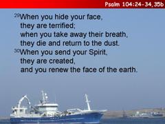 Psalm 104:24-34,35b