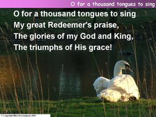 O for a thousand tongues to sing