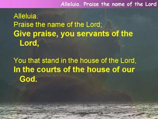 Alleluia. Praise the name of the Lord (Psalm 135)