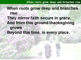 When roots grow deep and branches rise