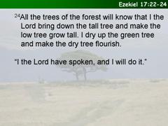 Ezekiel 17:22-24