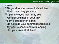 Psalm 119:17-24, (25-32)