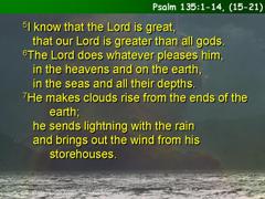 Psalm 135:1-14, (15-21)