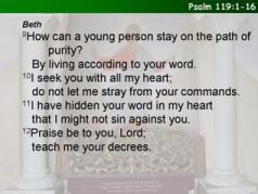 Psalm 119:1-16