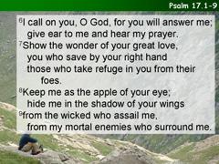 Psalm 17.1-9